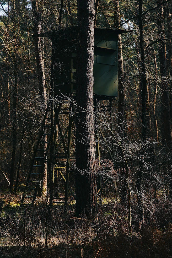 Mastering Concealment Hunting from a Blind