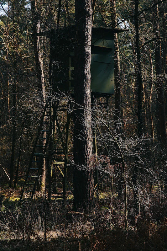 Mastering Concealment Hunting from a Blind