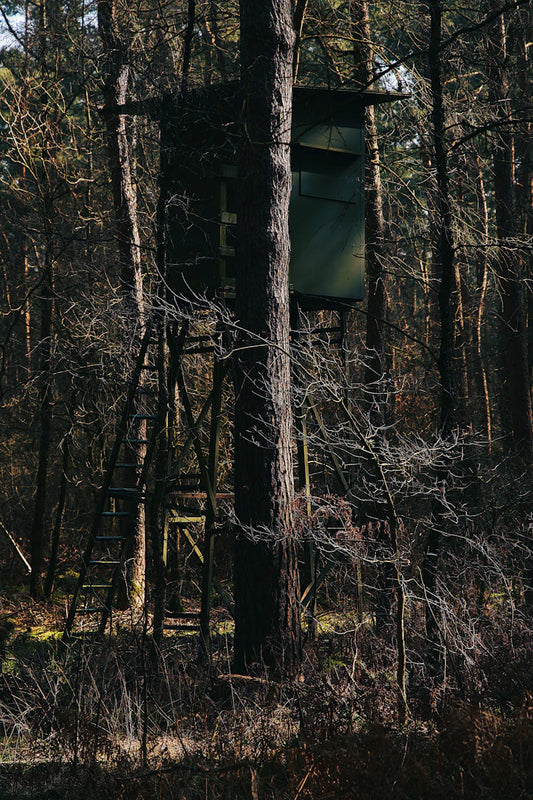 Mastering Concealment Hunting from a Blind