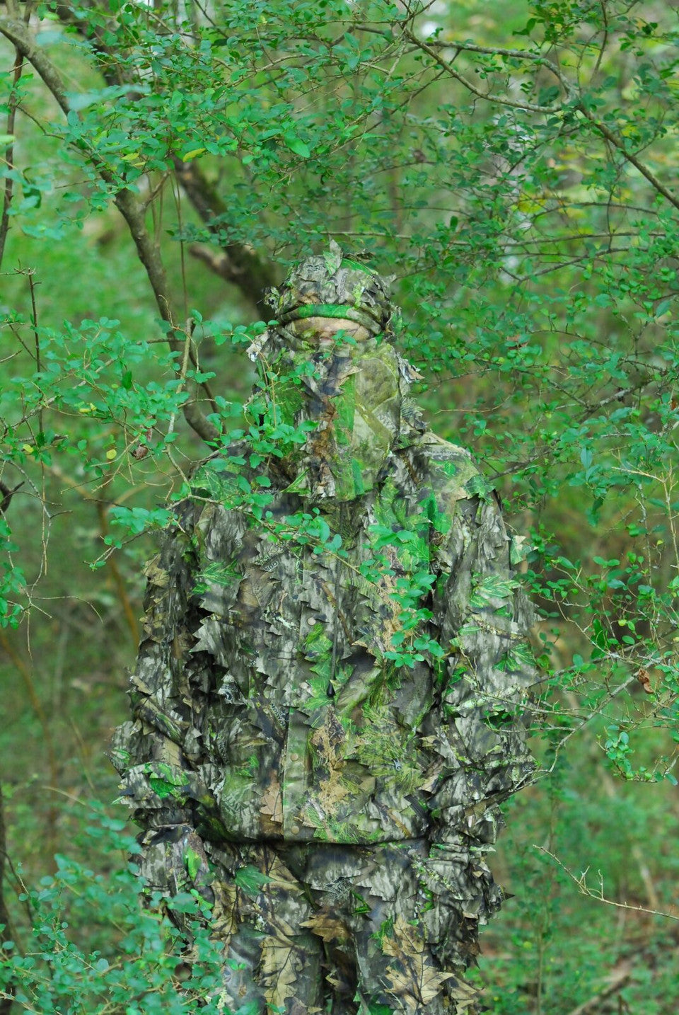 Leafy Suits - P